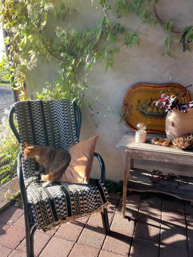Rider'S Glamping Hotell Back Eksteriør bilde